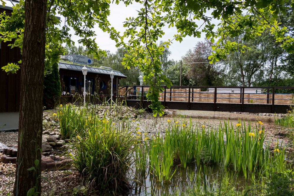 Vor einem Holzgebäude und einer eingezäunten Brücke, die von Bäumen und Grün umgeben ist, befindet sich ein kleiner Teich mit hohen Grünpflanzen, der von Felsen gesäumt ist.