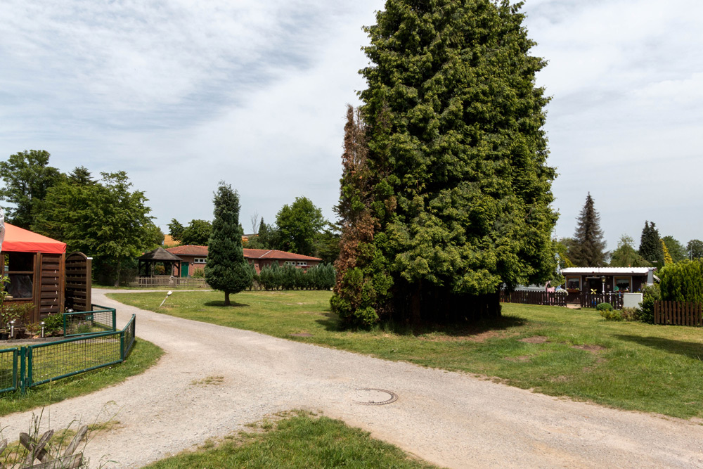 Ein unbefestigter Weg führt durch eine grasbewachsene Fläche mit großen Bäumen, kleinen Gebäuden und einigen Zaunabschnitten, die unter dem teilweise bewölkten Himmel sichtbar sind.