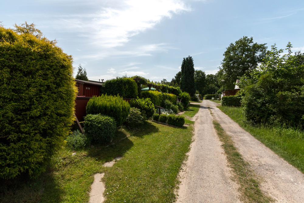 Eine schmale unbefestigte Straße führt an grünen Rasenflächen und Büschen vorbei. Kleine rote Häuser sind teilweise hinter Hecken zu sehen, und der Himmel ist sonnig und teilweise bewölkt.