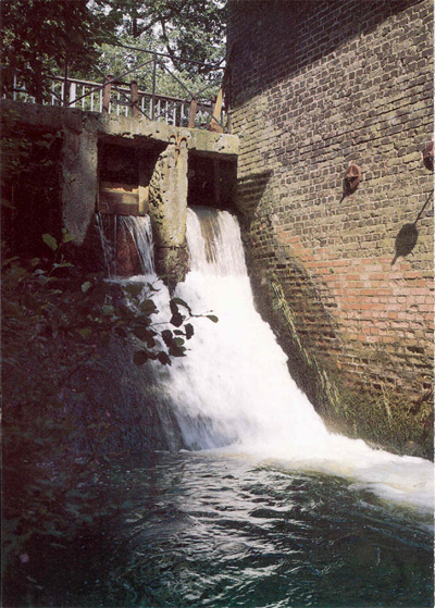 Aquarius-bei-Nacht_tn